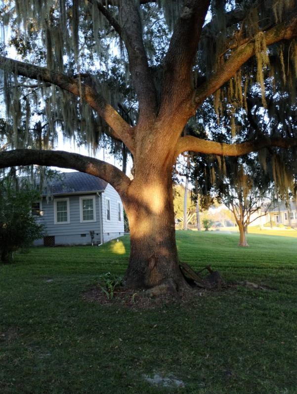 UMATILLA LOCH LOMOND - Residential
