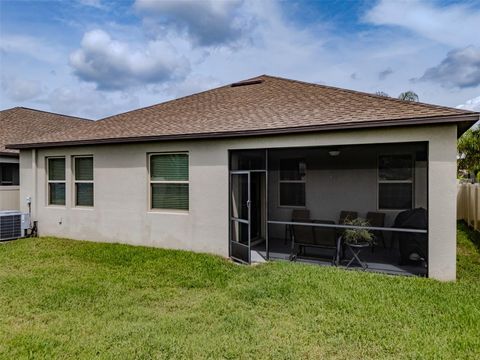 A home in RIVERVIEW