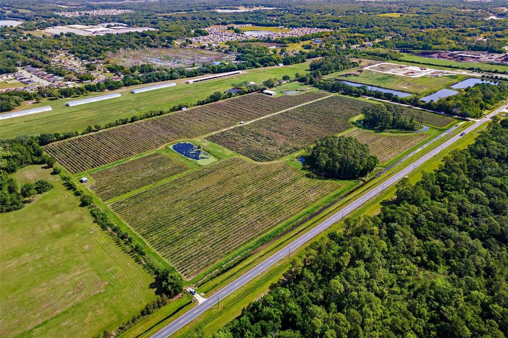 Photo of 7453 Jones Avenue, Mount Dora, FL 32757 (MLS # G5110768)