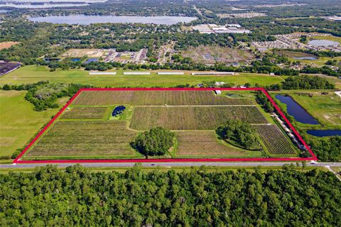 7453 JONES AVENUE MOUNT DORA FL 32757