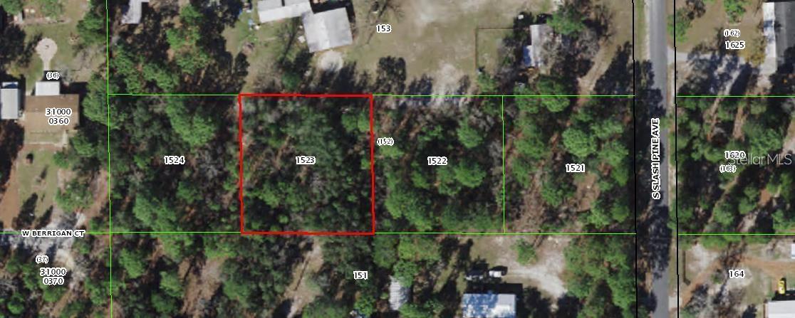 S SLASH PINE AVENUE