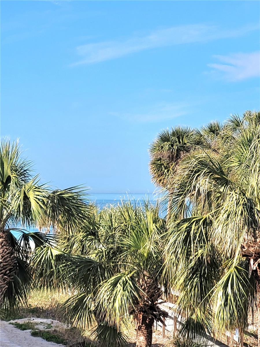 CONEY ISLAND - Residential Lease