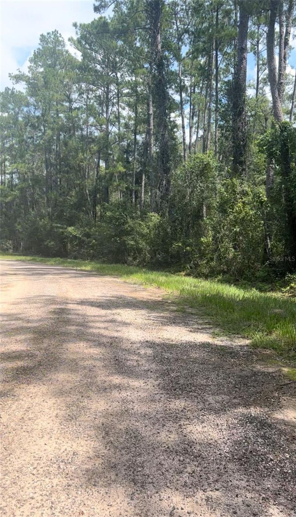 Photo of 1424 E Carson Road, Citrus Springs, FL 34434 (MLS # OM710543)