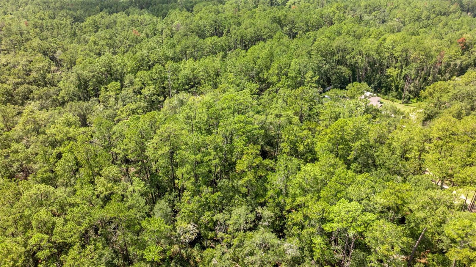 CITRUS SPGS UNIT 17 - Land