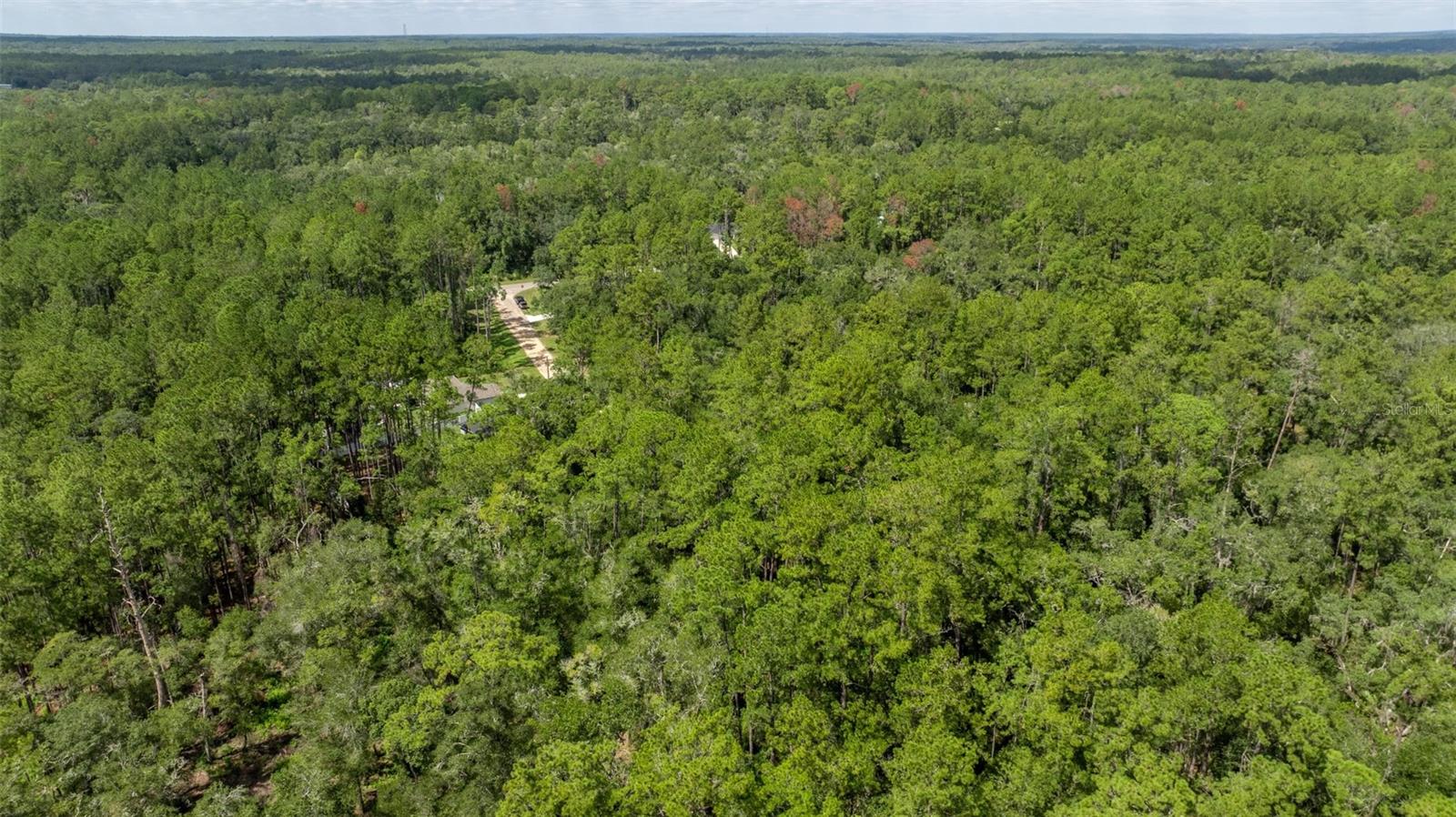 CITRUS SPGS UNIT 17 - Land