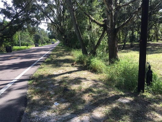 7805 TURKEY CREEK RD, PLANT CITY, FL 33567 - Image 13055a3aa7934302f4e0bd3fe835fd24/984247215