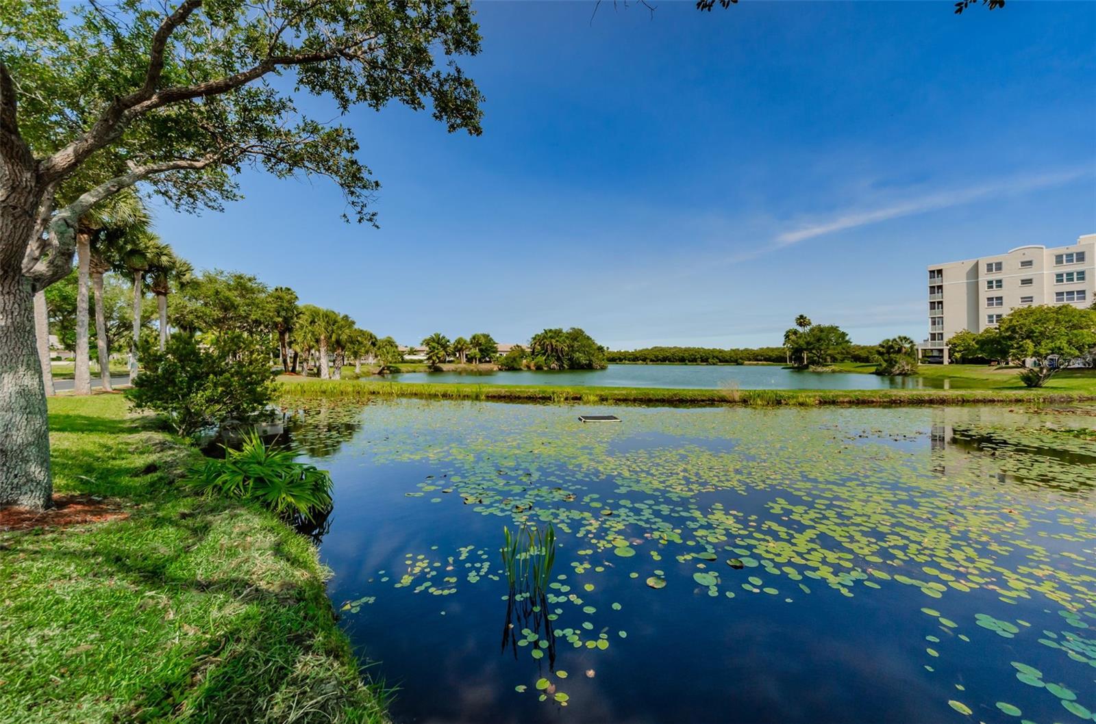 SHORES OF LONG BAYOU CONDO - Residential