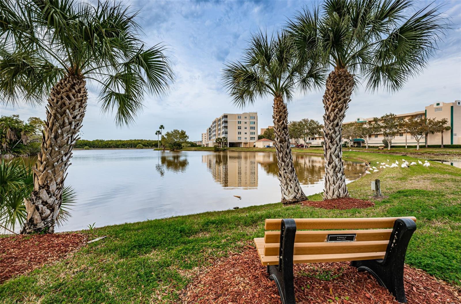 SHORES OF LONG BAYOU CONDO - Residential