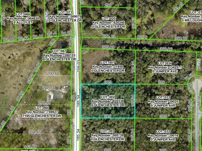 RIDGE MANOR ESTATE - Land