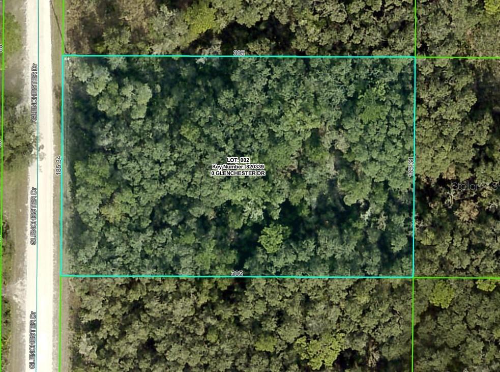 RIDGE MANOR ESTATE - Land