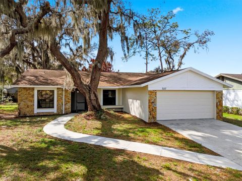 Photo of 727 Isleton Drive, Brandon, FL 33511 (MLS # TB8487982)