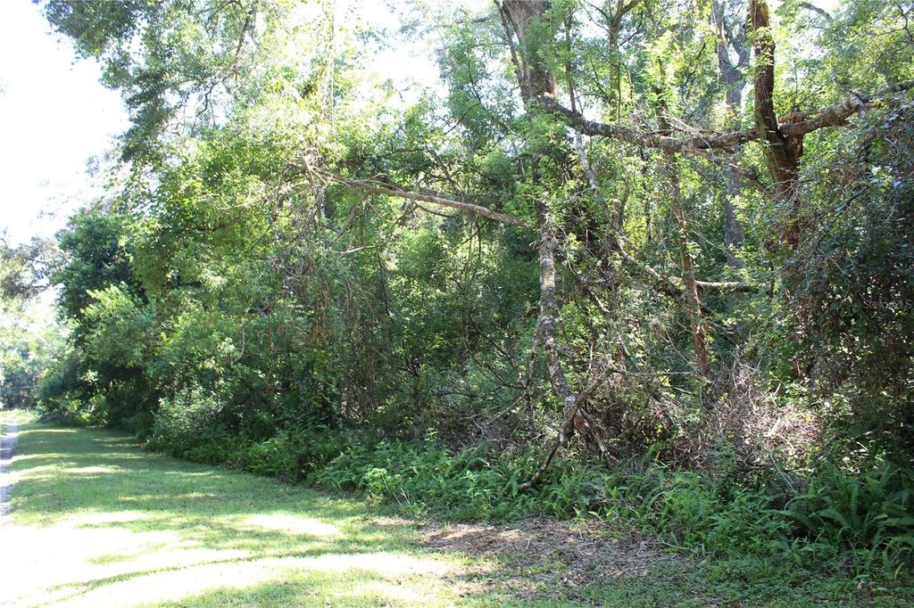Photo of Grand Avenue, Brooksville, FL 34604 (MLS # TB8510506)