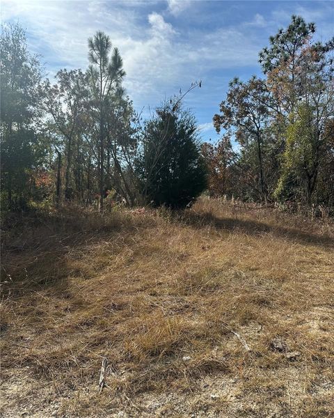 Lot 2 NE 151ST TER WILLISTON FL 32696