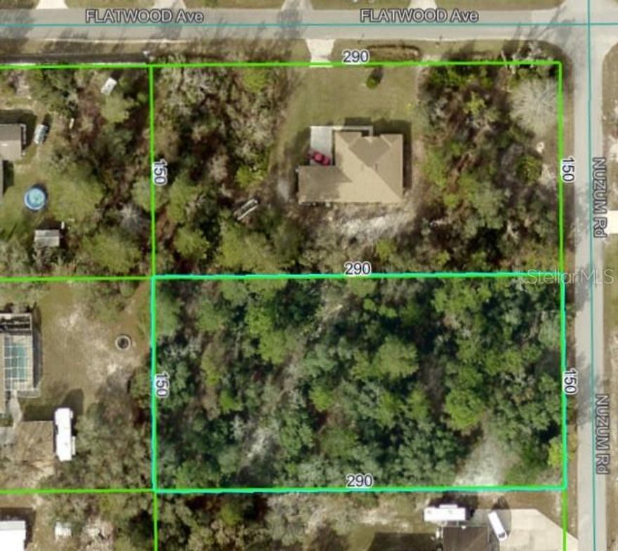 Welcome to your future ONE-ACRE homesite on Nuzum Road!  A peaceful location nestled in the heart of Weeki Wachee. This one-acre parcel offers the perfect blend of rural tranquility and convenience, situated on a quiet street less than 2 miles to both US HWY 19 and HWY 50.

Located in an X-flood zone, this property sits high and dry.  Even better, there's paved road access, nearby utilities, and no HOA!  The homes in this neighborhood are listed between just under $400,000 to OVER $650,000.

You'll also enjoy being just a short drive from Weeki Wachee Springs, the Gulf of Mexico, and a variety of shopping, dining, and recreational options.

If you're looking for space, privacy, and flexibility, this lot is a rare find in a growing area.

Whether you’re ready to build now or want to secure land for the future, this is an excellent opportunity to own a slice of Florida paradise.