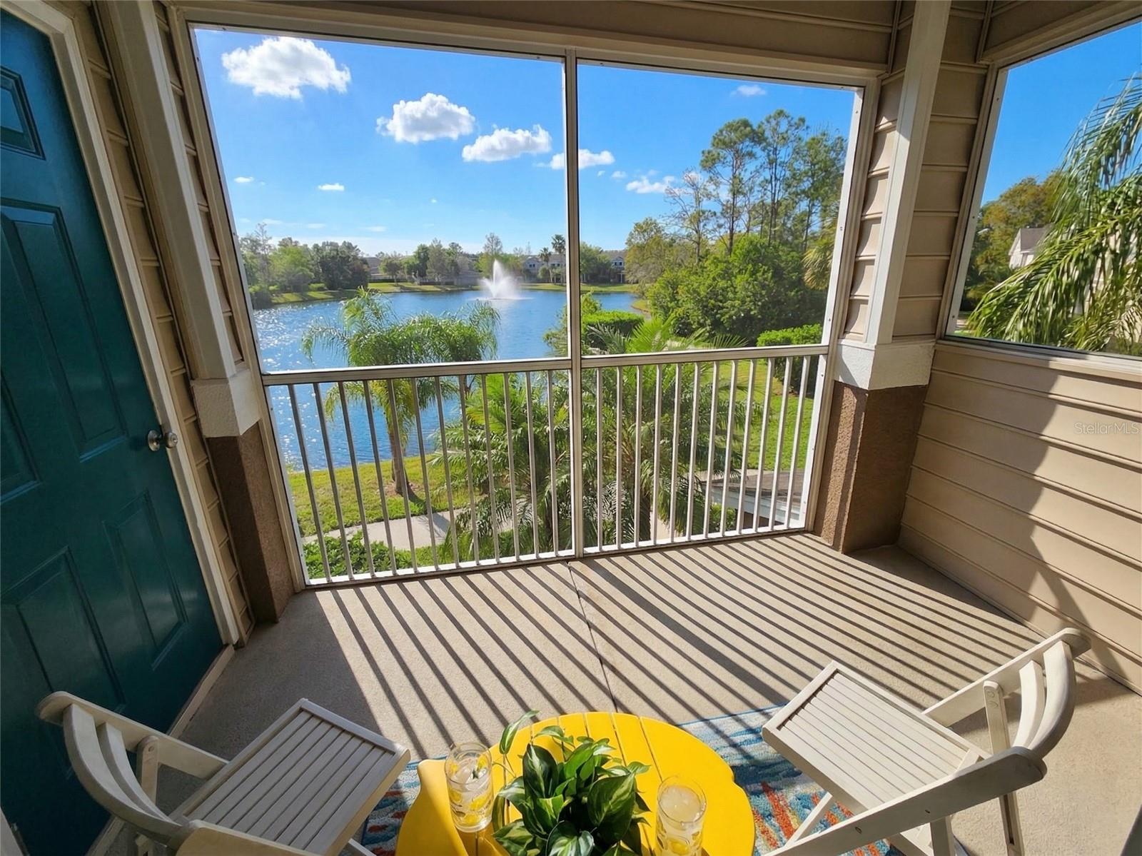 THE VILLAGE AT TOWNPARK - Residential