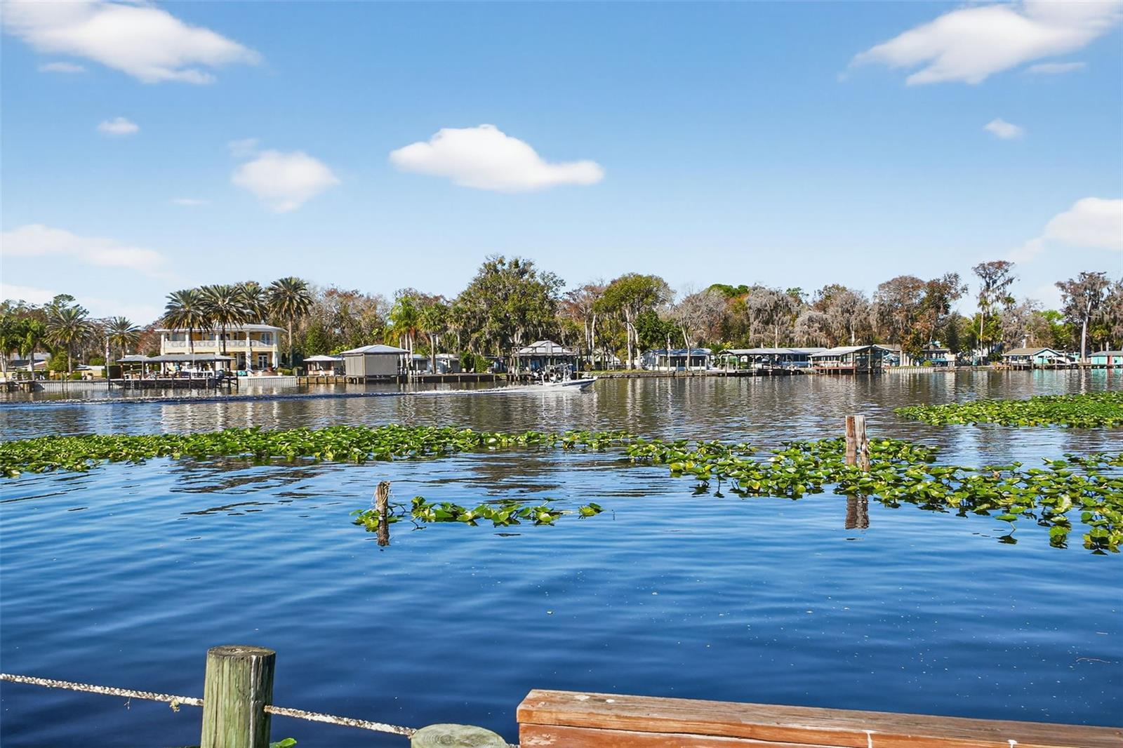 JUNGLE DEN VILLAS PH 01 CONDO - Residential