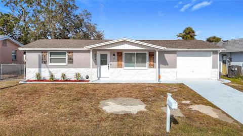 A home in PORT RICHEY