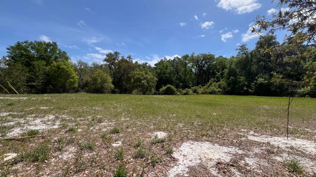 EAGLES EAST 5 ACRE DEV - Land