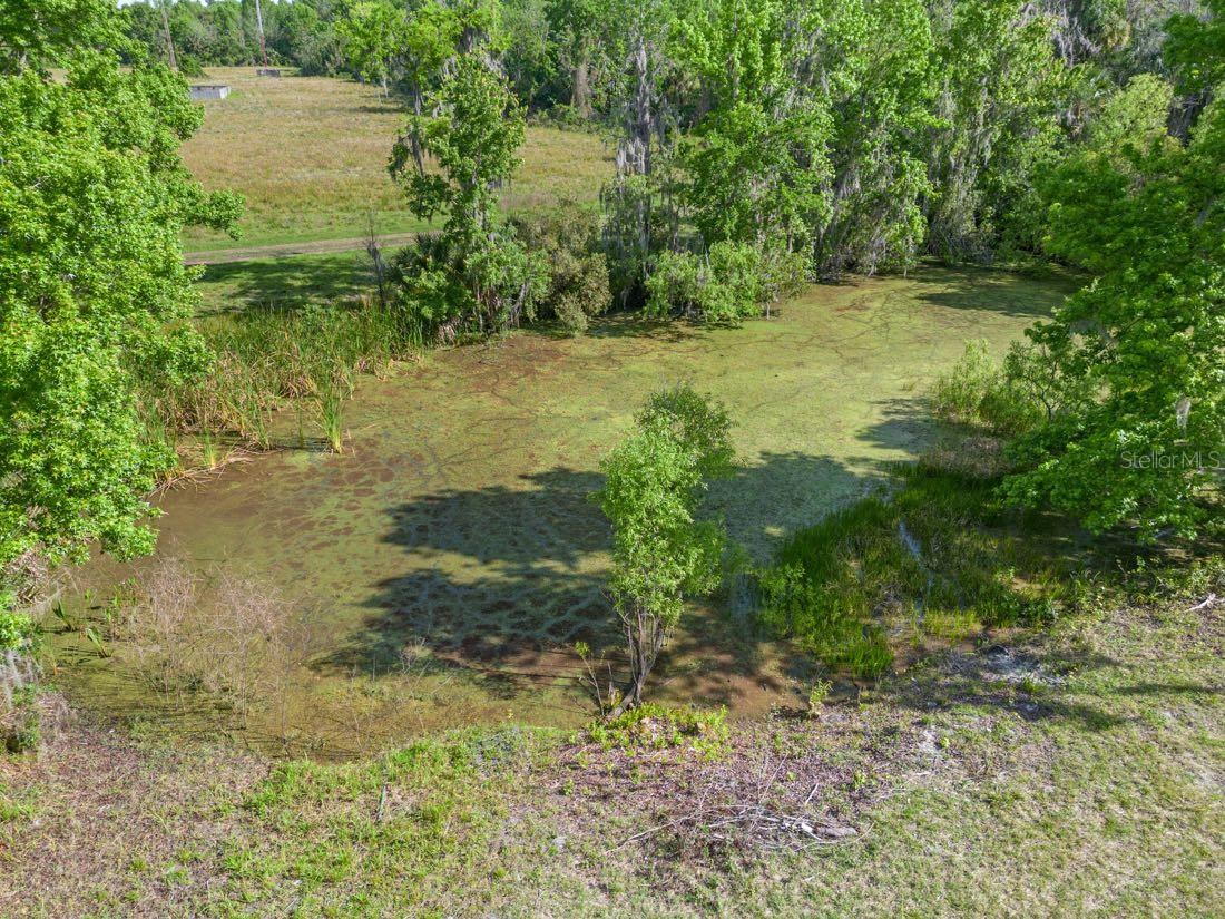 EAGLES EAST 5 ACRE DEV - Land