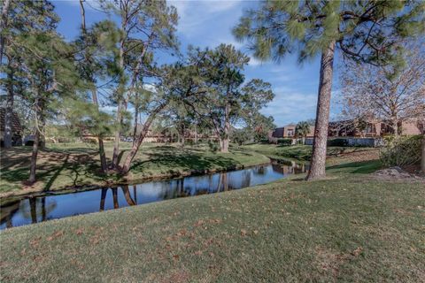 A home in ORLANDO