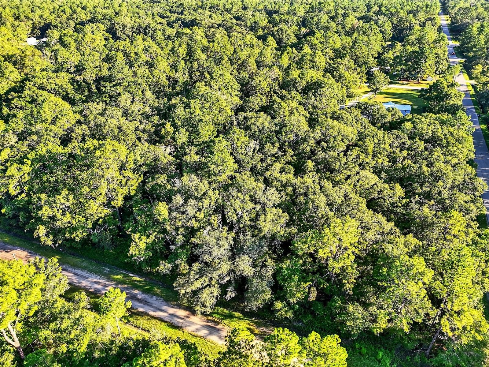 Spacious Corner Lot – Over 2 Acres located in Flagler Estates
Don’t miss this incredible opportunity to own a huge 300' x 300' corner lot in the peaceful community of Flagler Estates. This wooded parcel offers the perfect blend of privacy and space—ideal for your dream home, a weekend getaway, or a smart investment.
Located on a paved road, this over 2-acre lot gives you plenty of room to spread out, whether you’re planning to build, store your toys, or just enjoy the freedom of rural living. There’s ample space for RVs, boats, ATVs, or even a workshop.
Build your home right on the corner and enjoy the quiet surroundings, natural beauty, and wide-open feel that make this area so desirable. Whether you're ready to build now or looking for future potential, this property is worth a closer look!