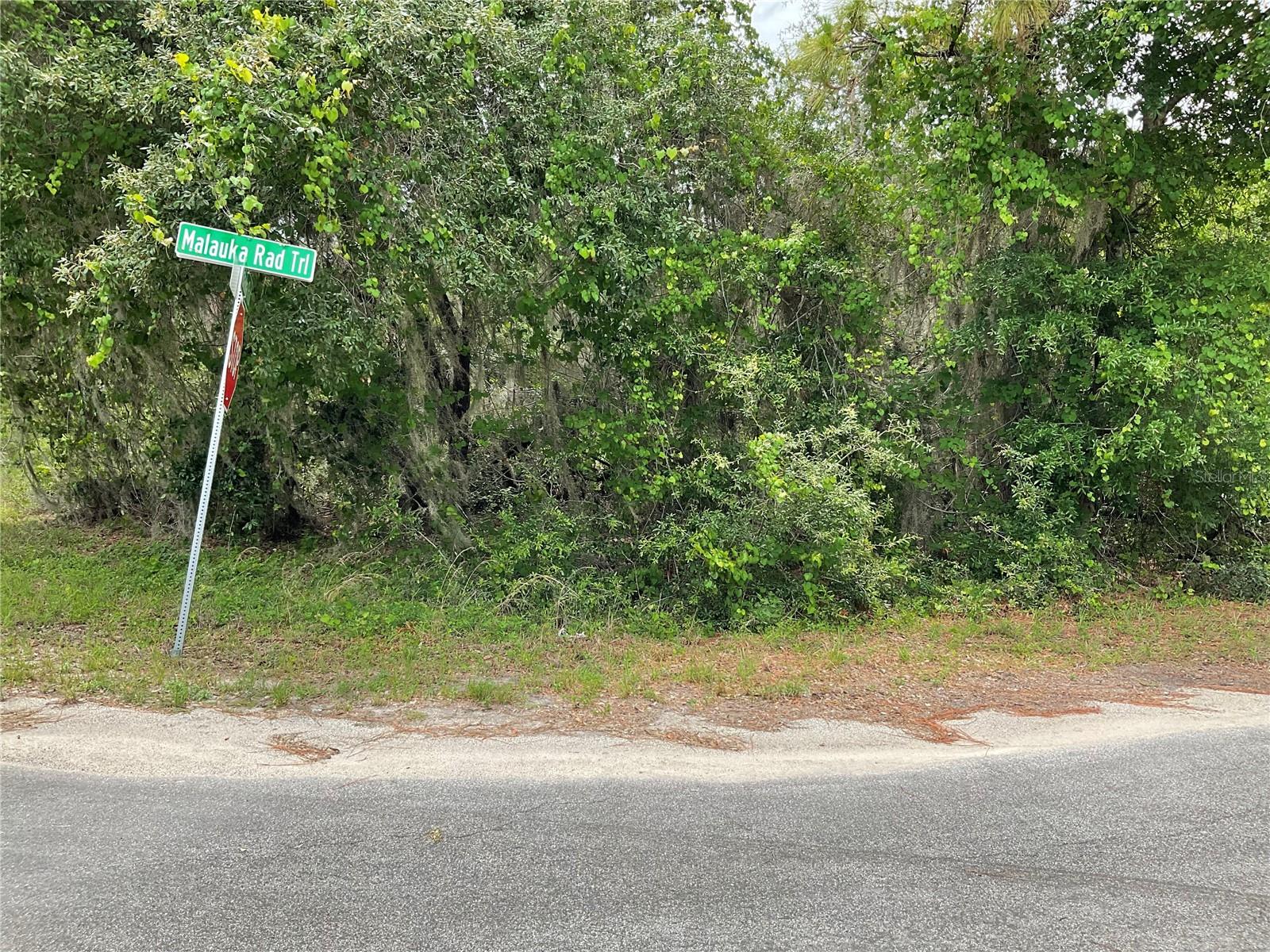 Build your dream home on this spacious .28-acre corner lot located in a quiet, established neighborhood. Plenty of space for your custom design. Conveniently situated near local amenities, yet tucked away for peace and tranquility."