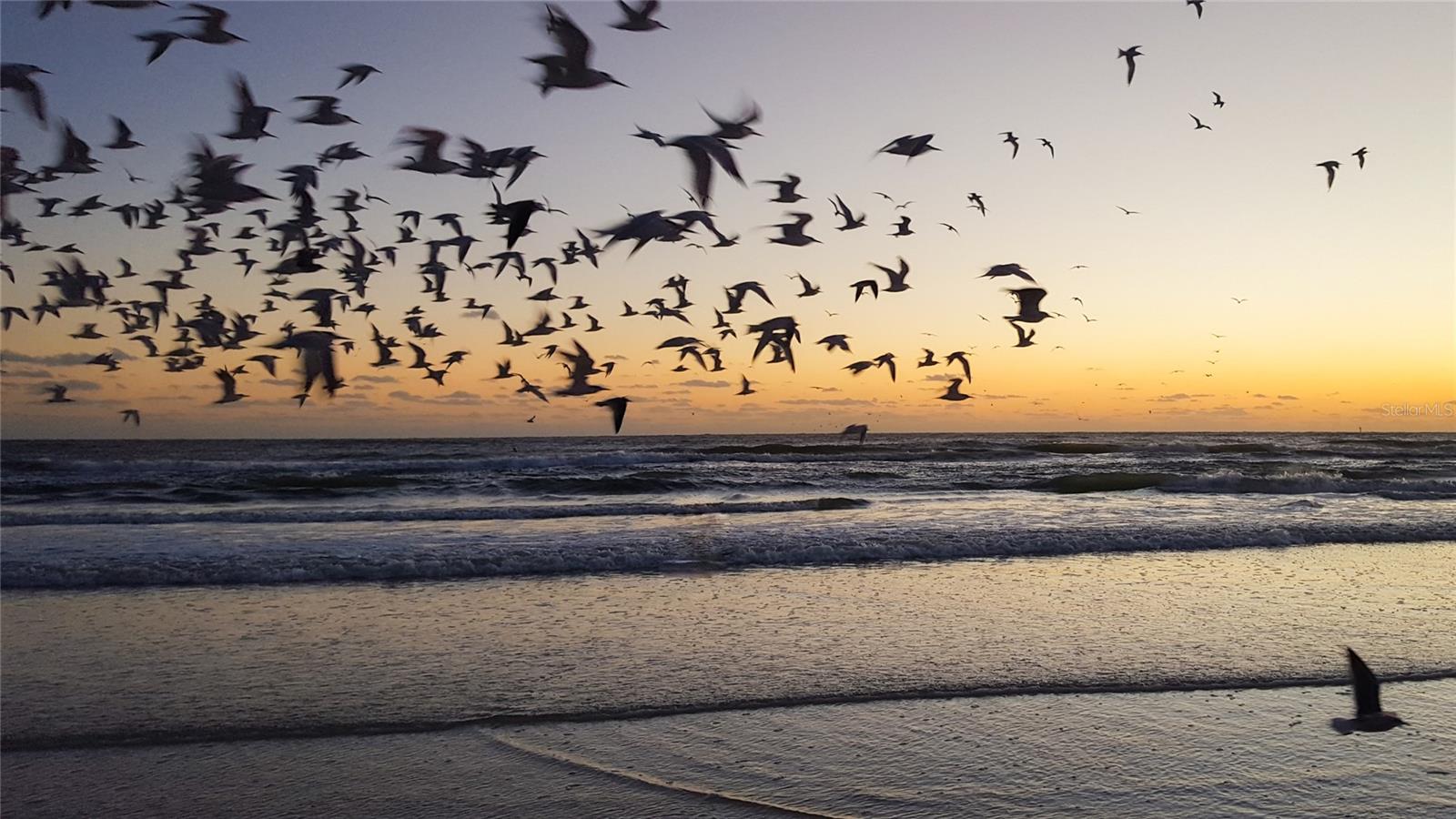 PALM-AIRE AT SARASOTA 11-A - Residential