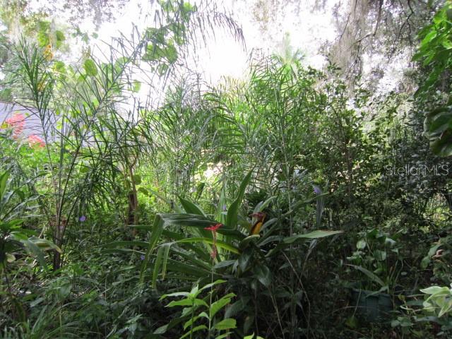 DELTONA LAKES UNIT 51 - Residential