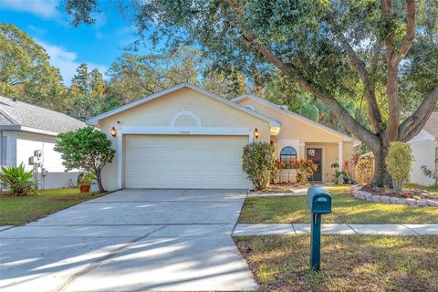 Photo of 10838 Peppersong Drive, Riverview, FL 33578 (MLS # TB8451340)