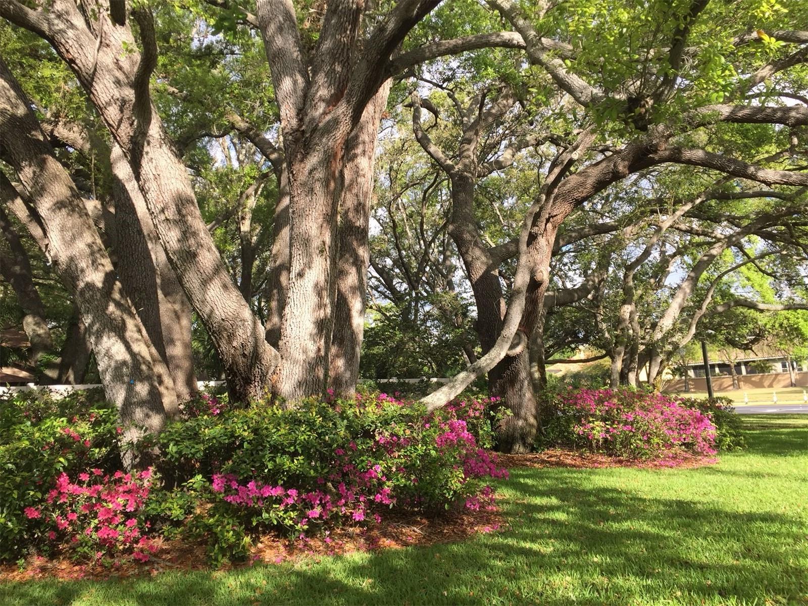 WOODBRIDGE CONDO - Residential