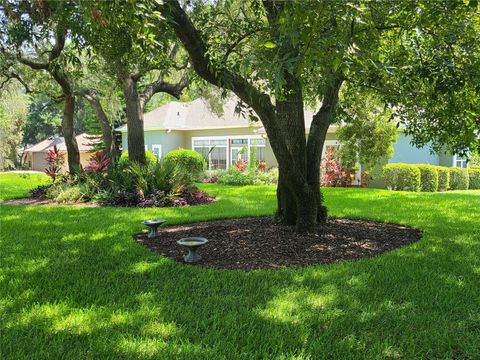 A home in HAINES CITY