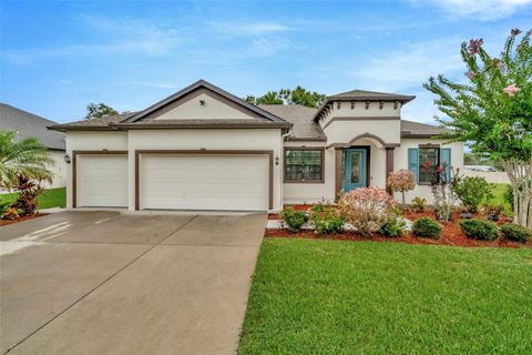 11026 BRAHMAN RANCH CIRCLE RIVERVIEW FL 33578