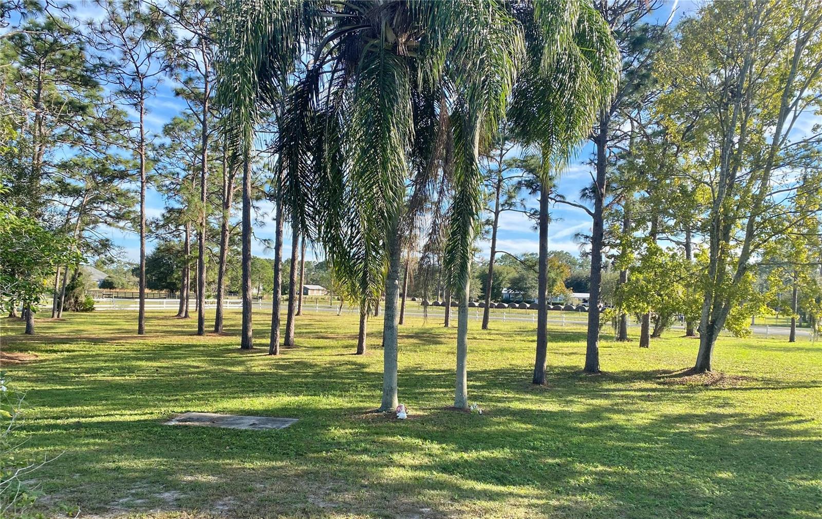 CYPRESS CREEK RANCHES UNIT 1 - Residential