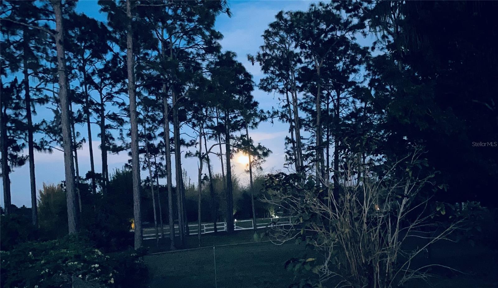 CYPRESS CREEK RANCHES UNIT 1 - Residential