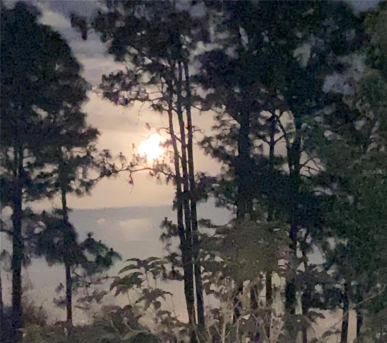 CYPRESS CREEK RANCHES UNIT 1 - Residential