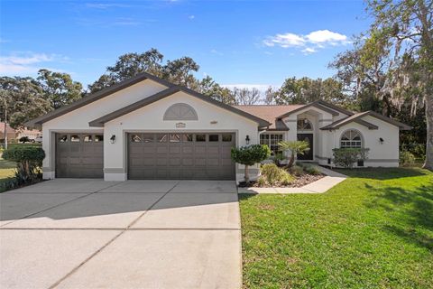 18164 WINDING OAKS BOULEVARD HUDSON FL 34667