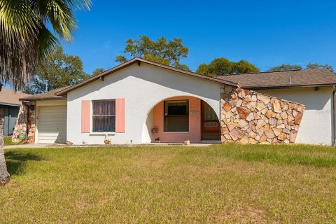 Photo of 13294 Pinellas Avenue, Spring Hill, FL 34609 (MLS # W7879290)