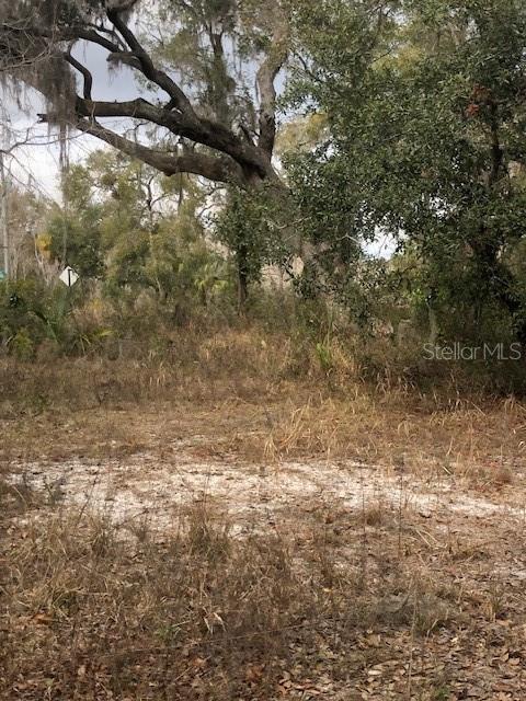 OAK HAVEN UNREC SUB - Land