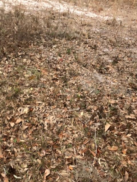 OAK HAVEN UNREC SUB - Land