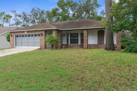 A home in SPRING HILL