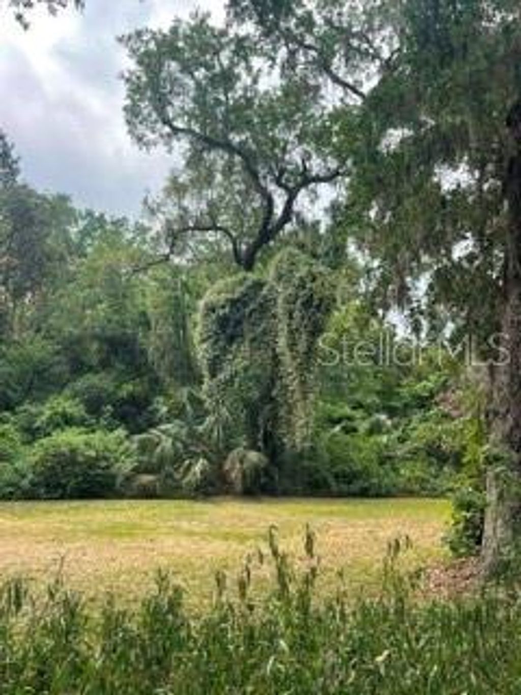 Photo of 16 Carolina Highway, Palm Coast, FL 32137 (MLS # FC318207)