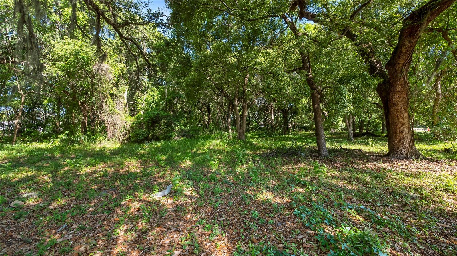 AMBASSADOR PARK - Land