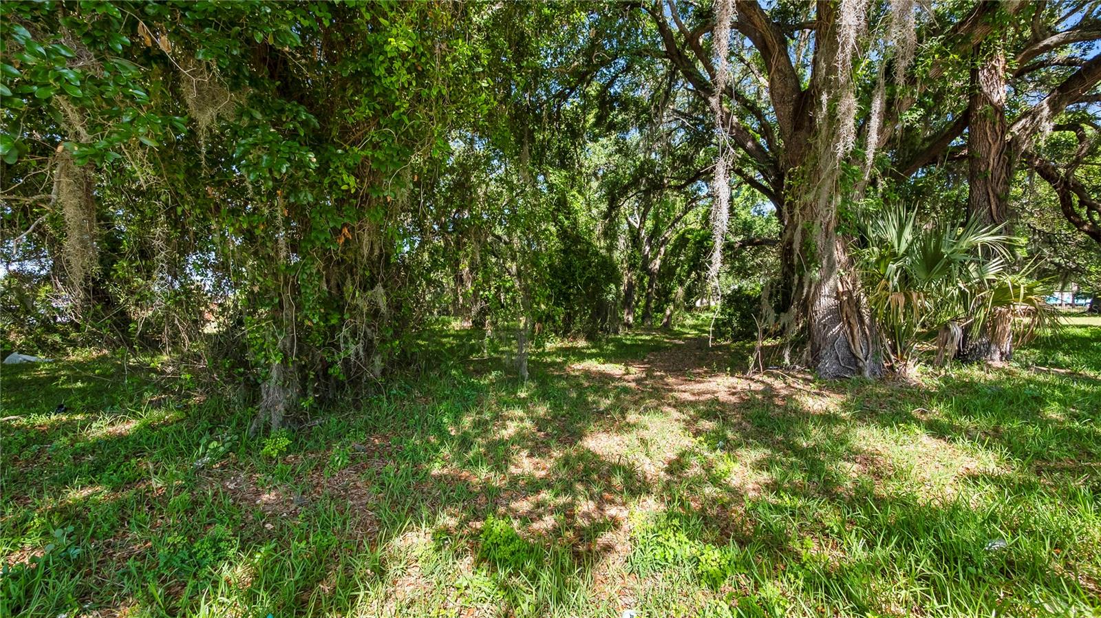 AMBASSADOR PARK - Land