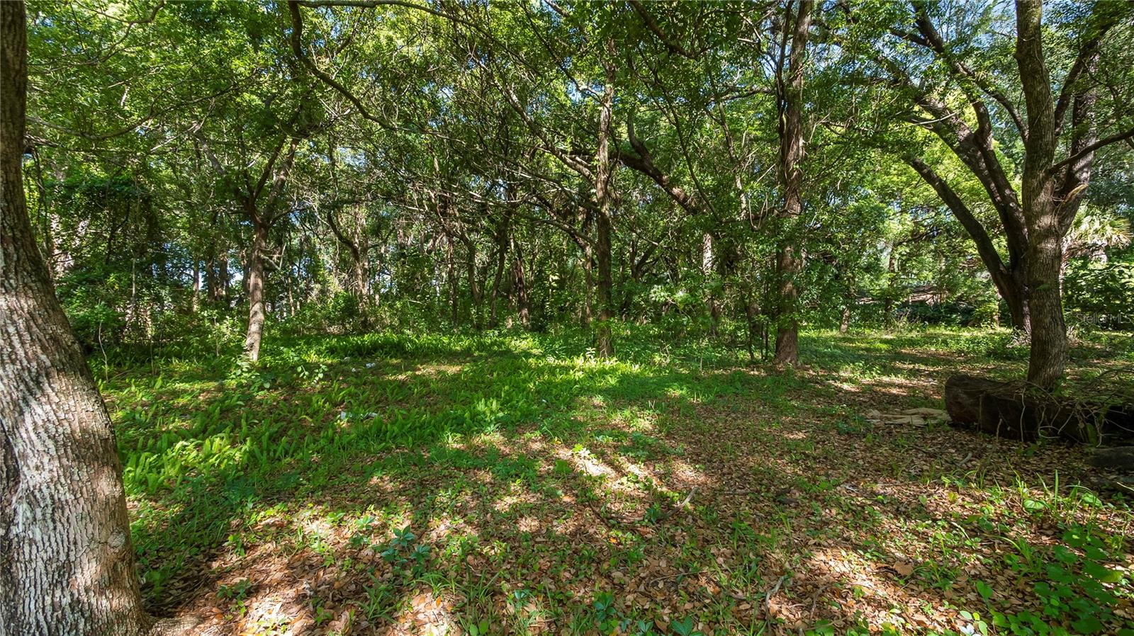 AMBASSADOR PARK - Land