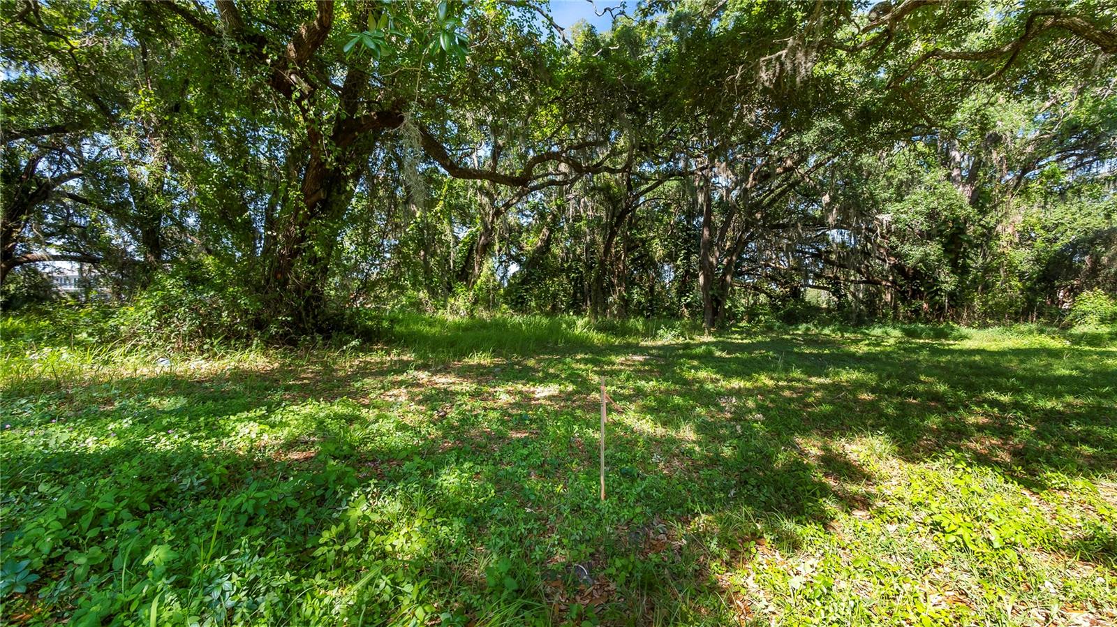 AMBASSADOR PARK - Land