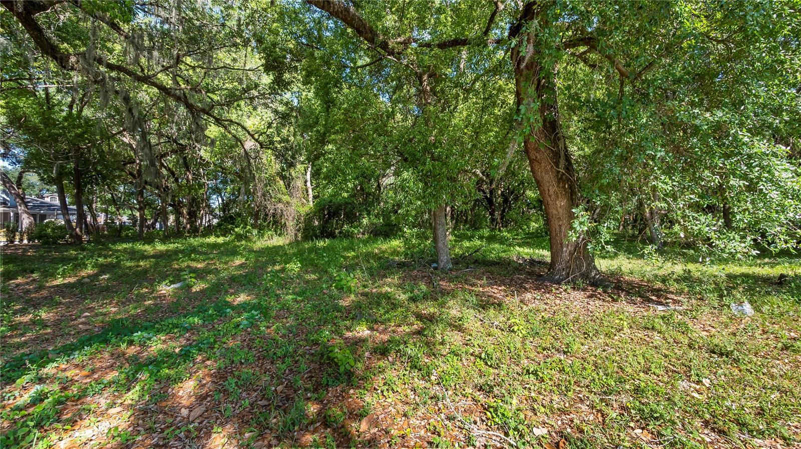 AMBASSADOR PARK - Land