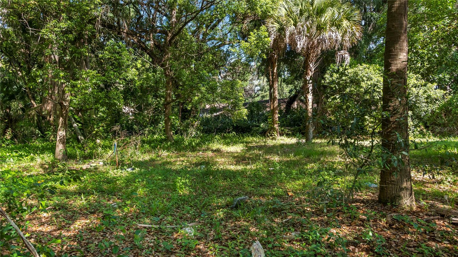 AMBASSADOR PARK - Land