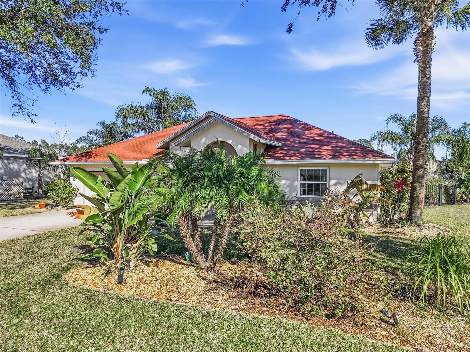 PALM COAST SEC 58 - Residential