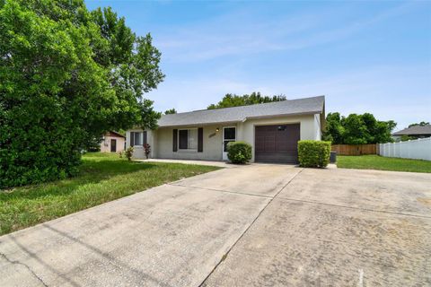 A home in DELTONA