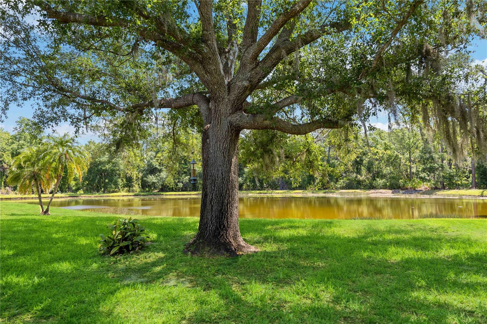 SUMMERFIELD VILLAGE SUBPHASE C - Residential